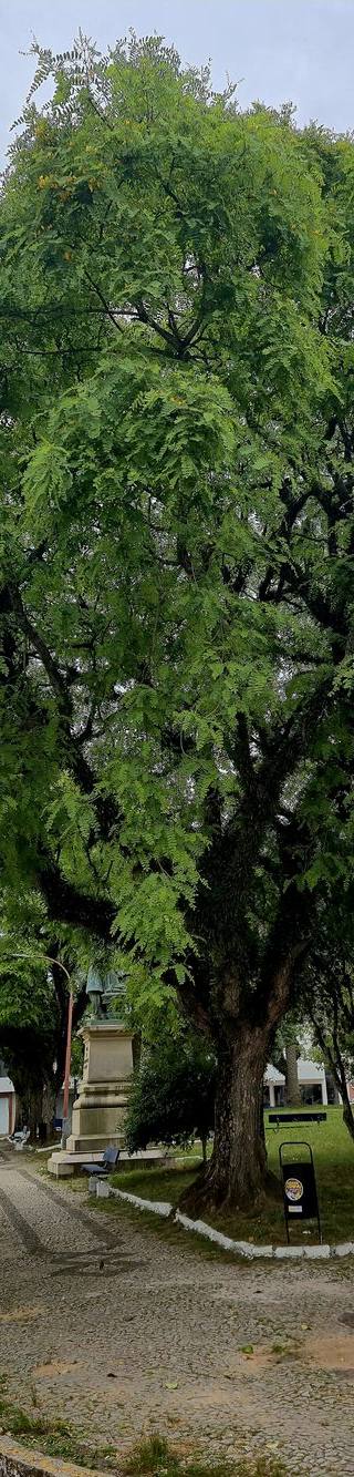 تيبوانا